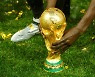 FIFA "월드컵 더 많이 개최하자..55%가 찬성"