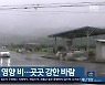 대구·경북 태풍 '찬투' 영향 비..곳곳 강한 바람