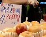 물가 내렸다는 정부, 또 보고 싶은 데이터만 [경제뷰포인트]