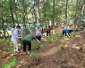 함양산삼항노화엑스포 힐링코스 여기는 꼭 가야해!