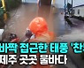 [영상] 태풍 '찬투' 위력 실감한 제주..강풍과 폭우에 곳곳 물바다