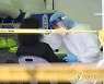충북 40명 확진..청주 등 5개 시군서 산발감염 지속(종합)
