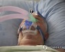 Virus Outbreak Bosnia