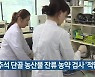 추석 단골 농산물 잔류 농약 검사 '적합'