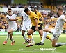 EPL 휘젓는 '황소', 황희찬 에너지 통한다 [EPL 리뷰]