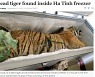 베트남 가정집서 160kg 무게 호랑이 사체 발견..현지경찰 수사