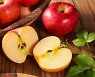 암 예방·피부미용..사과가 건강에 좋은 이유