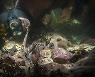 송편 빚는 명절 거실, 당당히 틀 수 있는 건전 콘텐츠 5 [왓칭]