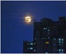 [조용철의 마음풍경] 아파트 빌딩 숲에 두둥실 뜬 보름달