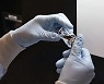 2026년 12조원 규모 코로나 치료제 '렘데시비르'..어떤 기전?