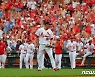 '8연승' 세인트루이스, MLB 파워랭킹 10위로 5계단 상승