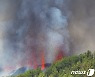 스페인 카나리아 제도서 50년 만에 화산 폭발..