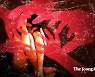 男간호조무사 '내시경女 준강간' 쇼크..피해자 19명 더 있다
