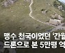 공룡 놀이터, 범 천국이었다..'은빛 5만평' 영남 알프스 유혹 [영상]