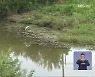김해시 '주천강 복원', 예산 205억 확보하고도 표류 왜?