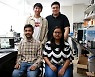 DGIST, 친환경 소재의 고효율 나노발전기 개발