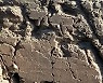 선명히 보이는 반구대암각화