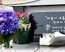 김혜수, '방랑식객' 故 임지호 장지 찾았다 "많이 그립습니다"