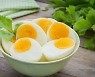 완전식품 달걀보다 더 풍부한 단백질 음식 6
