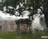 [오늘의 날씨] 강원(21일, 화)..천둥‧번개 강한 비