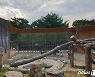청주동물원, 11억 들여 동물사육시설 리모델링 나선다