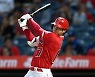 '흔들리는 MVP 표심'..오타니 90.1→78.9%, 블게주 9.9→21.1%