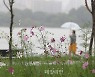 [오늘날씨] 추석 당일 전국적으로 비..저녁 때 그칠 듯