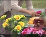 코로나19 속 차분한 추석..도심 한산
