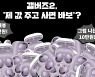 "출시 2년된 에어팟 보다 못하네"..'헐값'된 삼성 이어폰