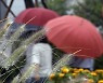대구·경북 흐리고 비오는 추석..낮 21~27도