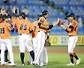 맵다 매워 한화표 고춧가루 LG에 15점이나 팍팍