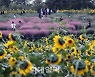 [포토]'산책하며 피로 풀어요'