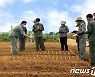 알곡 재배 면적 늘리기 나선 북한 사리원시
