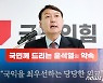 윤석열 '군필자 청약가점' 공약에 유승민 "표절" 尹 "유사 당연"