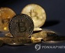 국내 가상화폐 거래소 고객 예치금 60조원 돌파