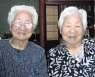 일본 108세 할머니 자매, '최고령 일란성 쌍둥이' 기네스 등재