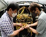 안전하고 효율적으로 정보 전달..ETRI, '데이터 중심' 네트워킹 기반 기술 개발