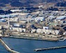 美, 후쿠시마 원전 사고 후 도입한 日 식품 수입규제 풀어