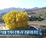원주시, 천연기념물 '반계리 은행나무' 관광자원 추진
