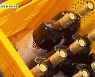 토착 효모로 숙성..국산 와인 경쟁력 높인다