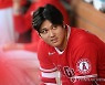 '야구천재' 오타니, MVP 투표서 게레로 주니어 압도