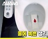 [뉴띵 EP.33] ★이젠 변기에 버리세요★ 신개념 생리대 공개! /스브스뉴스