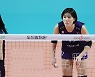 '학폭 논란' 이재영·다영, '그리스 진출길' 열리나