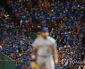 USA BASEBALL MLB