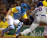 USA BASEBALL MLB
