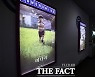 '미나리', 추석 안방극장 시청률 1위..'담보' 2위