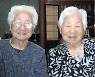 日 108세 할머니 자매, 세계 최고령 여성 일란성 쌍둥이로 등재