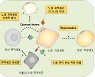 노화 방지·자폐 치료, 꿈의 기술 도전
