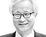 [시조가 있는 아침] (90) 애기메꽃
