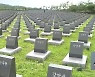 4·3 배보상 용역 결과 설명회 다음 달로 연기